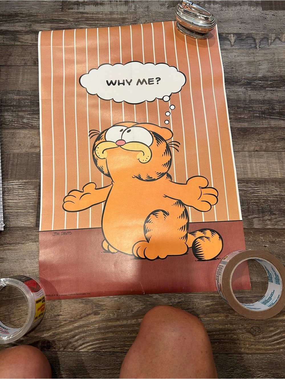 Vintage Garfield "Why Me?" Poster - Orange Graphic
